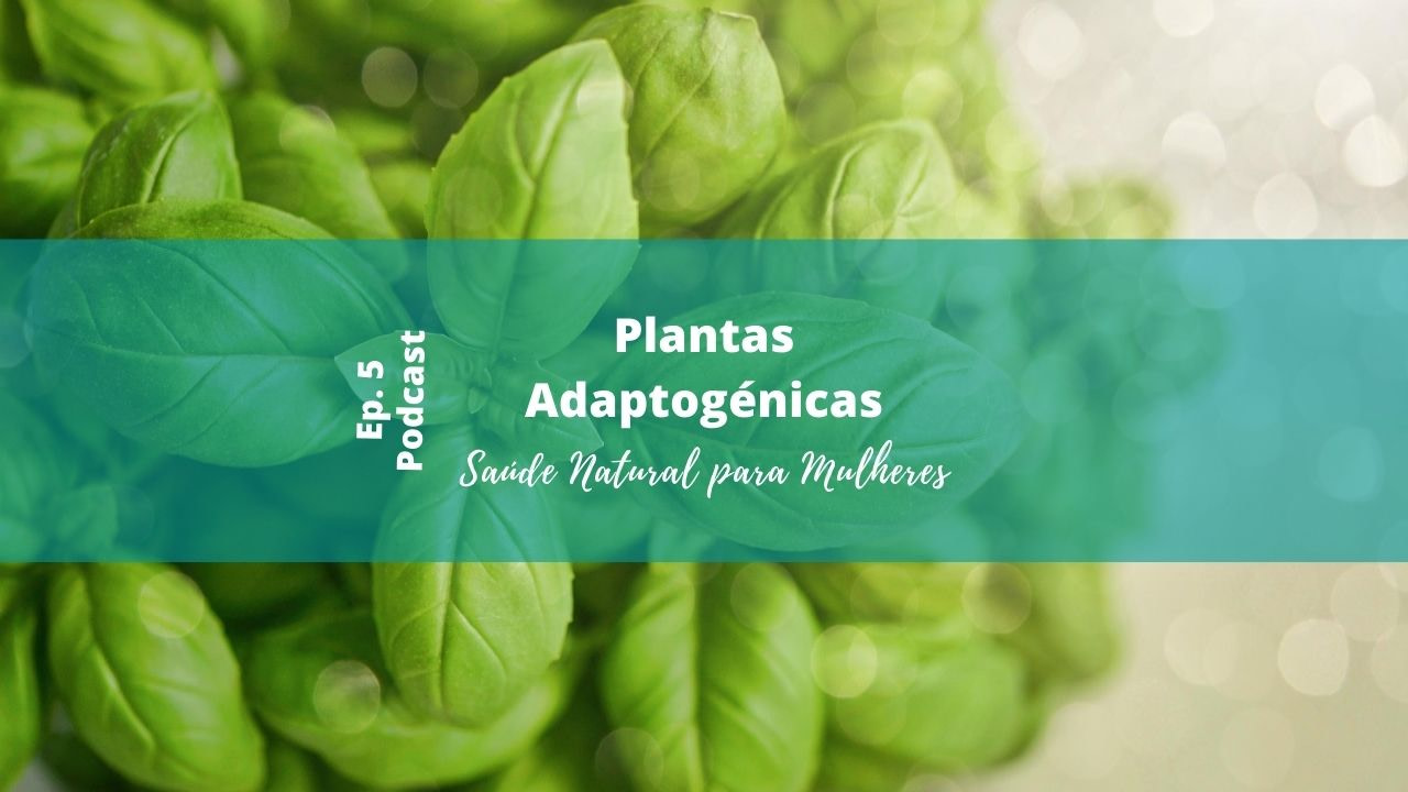 plantas adaptogénicas