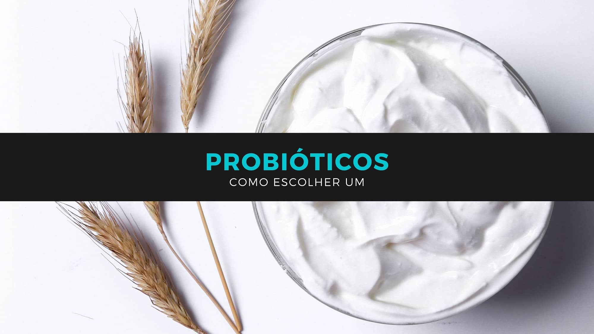como escolher um probiótico